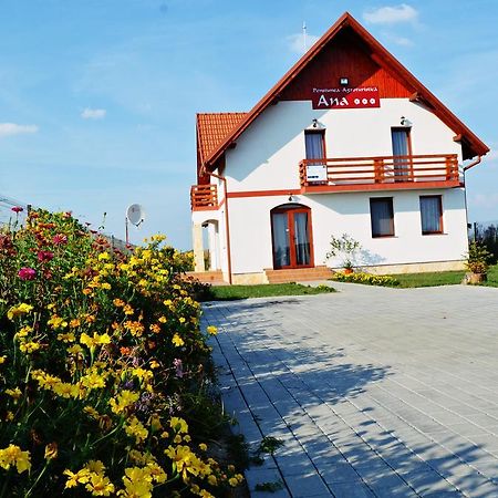 Pensiunea Ana Odoreu Ngoại thất bức ảnh