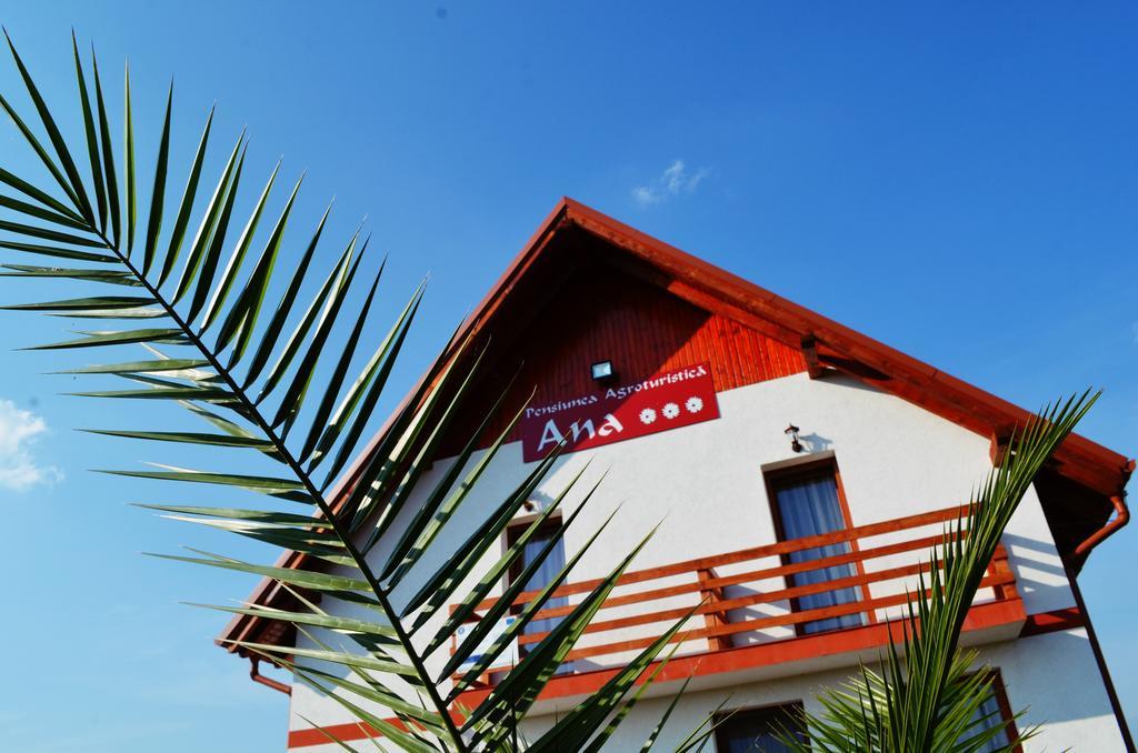 Pensiunea Ana Odoreu Ngoại thất bức ảnh