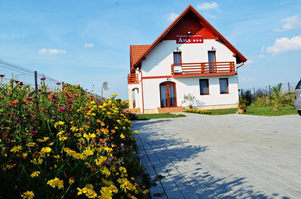 Pensiunea Ana Odoreu Ngoại thất bức ảnh